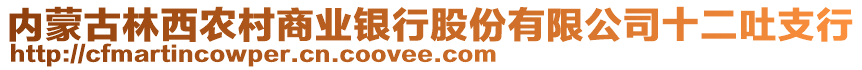 內蒙古林西農(nóng)村商業(yè)銀行股份有限公司十二吐支行