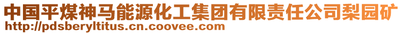 中國(guó)平煤神馬能源化工集團(tuán)有限責(zé)任公司梨園礦