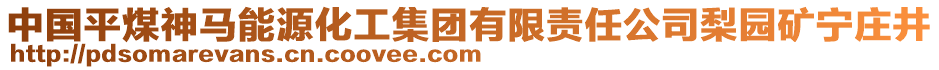 中國平煤神馬能源化工集團(tuán)有限責(zé)任公司梨園礦寧莊井