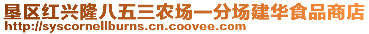 垦区红兴隆八五三农场一分场建华食品商店