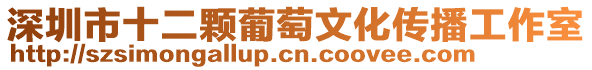 深圳市十二顆葡萄文化傳播工作室