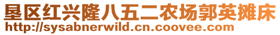 墾區(qū)紅興隆八五二農(nóng)場(chǎng)郭英攤床