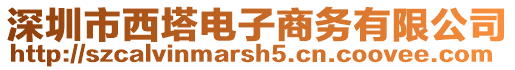 深圳市西塔電子商務(wù)有限公司