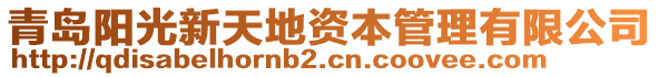 青島陽光新天地資本管理有限公司