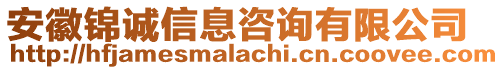 安徽錦誠(chéng)信息咨詢有限公司