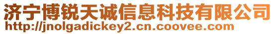 濟(jì)寧博銳天誠信息科技有限公司