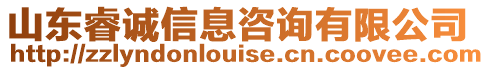 山東睿誠信息咨詢有限公司