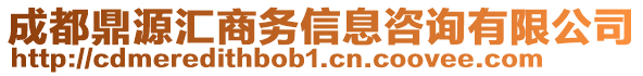 成都鼎源匯商務(wù)信息咨詢有限公司