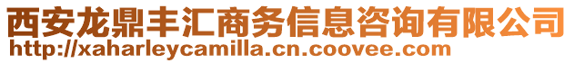 西安龍鼎豐匯商務信息咨詢有限公司