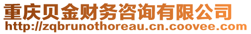 重慶貝金財(cái)務(wù)咨詢有限公司