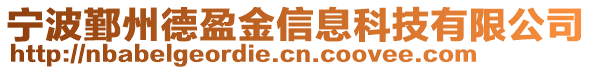 寧波鄞州德盈金信息科技有限公司