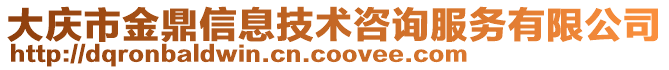 大慶市金鼎信息技術(shù)咨詢服務(wù)有限公司