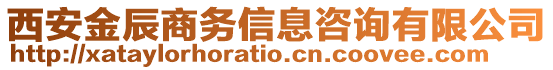 西安金辰商務(wù)信息咨詢(xún)有限公司