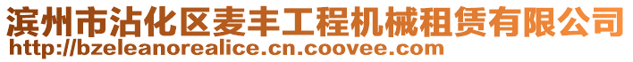 濱州市沾化區(qū)麥豐工程機械租賃有限公司