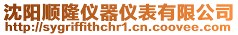 沈陽順隆儀器儀表有限公司
