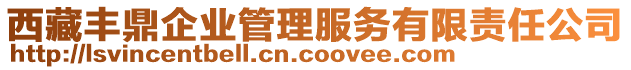 西藏豐鼎企業管理服務有限責任公司
