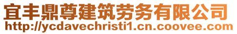 宜豐鼎尊建筑勞務(wù)有限公司