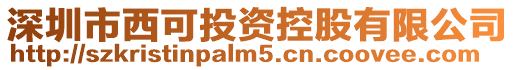 深圳市西可投資控股有限公司