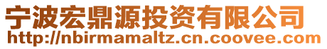 寧波宏鼎源投資有限公司