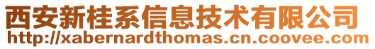 西安新桂系信息技術(shù)有限公司