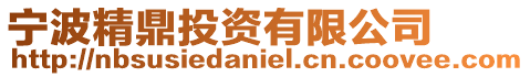 寧波精鼎投資有限公司