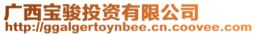 廣西寶駿投資有限公司