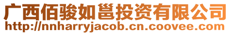 廣西佰駿如邕投資有限公司