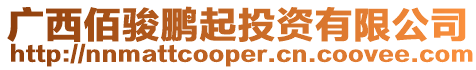 廣西佰駿鵬起投資有限公司
