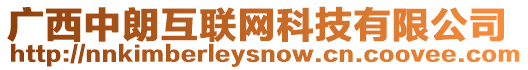 廣西中朗互聯(lián)網(wǎng)科技有限公司