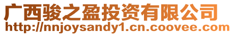 廣西駿之盈投資有限公司