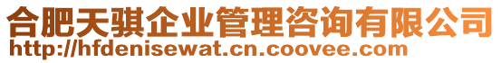 合肥天騏企業(yè)管理咨詢有限公司