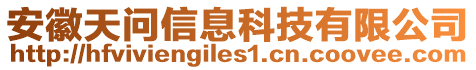 安徽天問信息科技有限公司