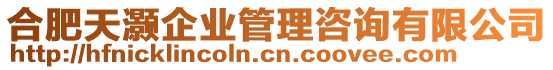 合肥天灝企業管理咨詢有限公司