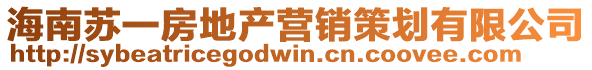 海南蘇一房地產(chǎn)營銷策劃有限公司