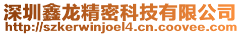 深圳鑫龍精密科技有限公司