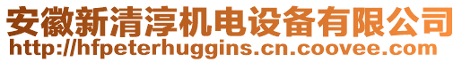 安徽新清淳機電設備有限公司