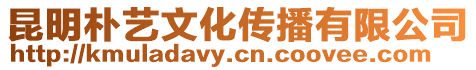 昆明樸藝文化傳播有限公司