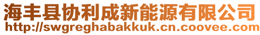 海豐縣協(xié)利成新能源有限公司