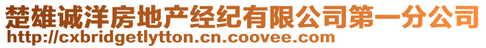楚雄誠洋房地產經紀有限公司第一分公司