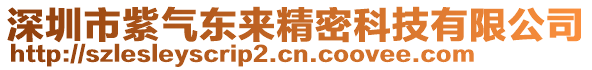 深圳市紫氣東來精密科技有限公司