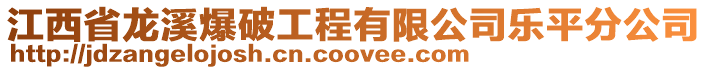 江西省龍溪爆破工程有限公司樂平分公司