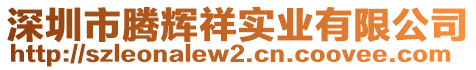 深圳市騰輝祥實業(yè)有限公司