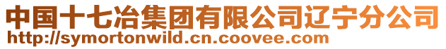 中國十七冶集團有限公司遼寧分公司