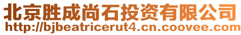 北京勝成尚石投資有限公司