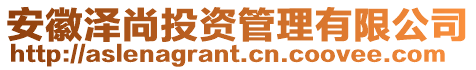 安徽澤尚投資管理有限公司