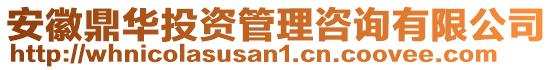 安徽鼎華投資管理咨詢有限公司