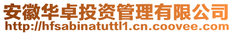 安徽華卓投資管理有限公司