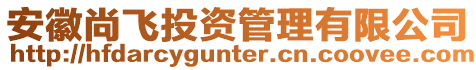 安徽尚飛投資管理有限公司