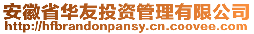 安徽省華友投資管理有限公司