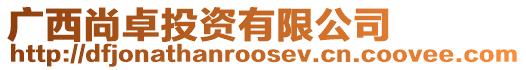 廣西尚卓投資有限公司
